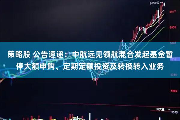 策略股 公告速递：中航远见领航混合发起基金暂停大额申购、定期定额投资及转换转入业务