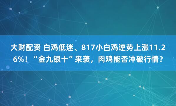 大财配资 白鸡低迷、817小白鸡逆势上涨11.26%！“金九银十”来袭，肉鸡能否冲破行情？