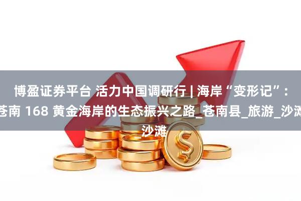 博盈证券平台 活力中国调研行 | 海岸“变形记”：苍南 168 黄金海岸的生态振兴之路_苍南县_旅游_沙滩