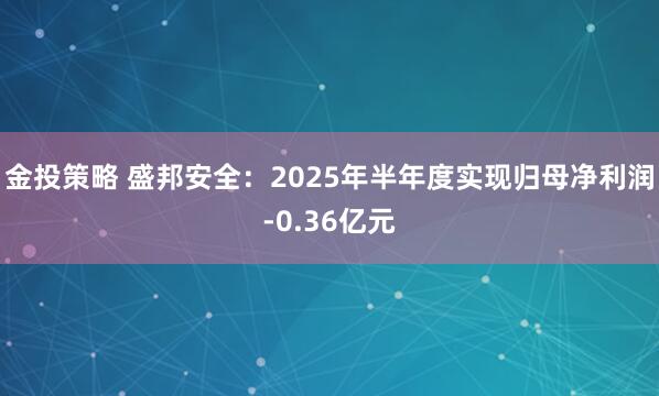 金投策略 盛邦安全：2025年半年度实现归母净利润-0.36亿元